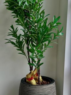 Der Osterhase hat sich verspätet 😮🐰🐣
#ecowcubeveluwemeer #veluwemeer @europarcsbadhoophuizen @europarcsnl